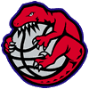 Toronto Raptors Team Address